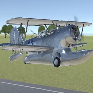 3D Flight Simulator Game